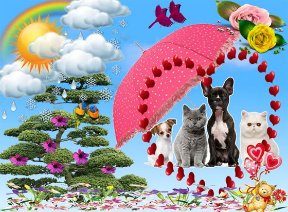 Best Friends: Dog and Cats with umbrella